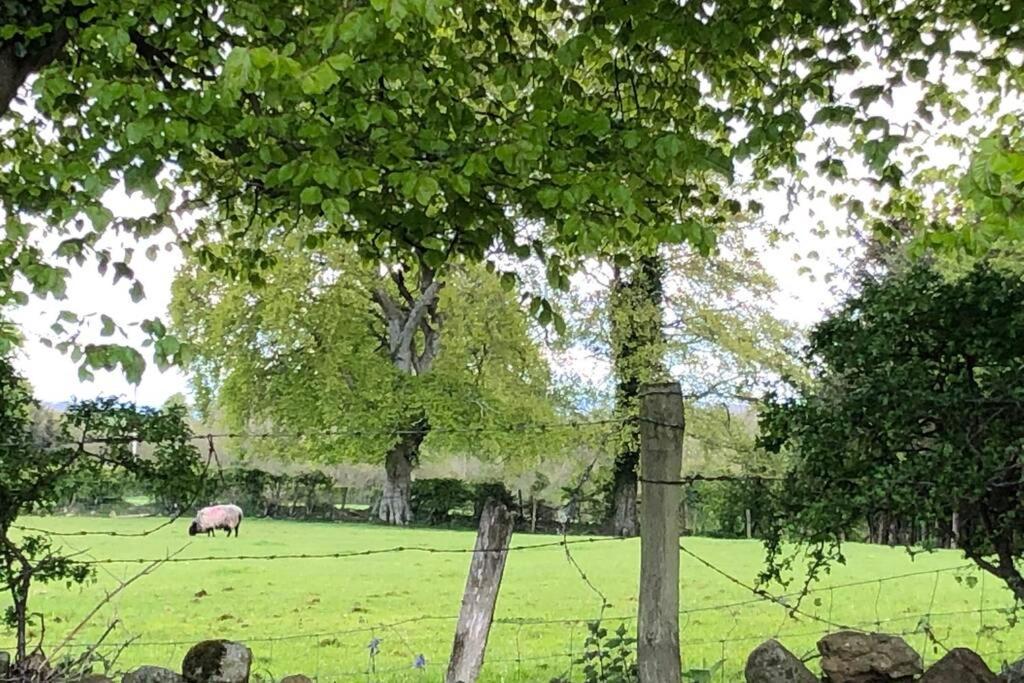 Ballyheifer House - A Beautiful 5 Bedroom Home. Magherafelt Εξωτερικό φωτογραφία